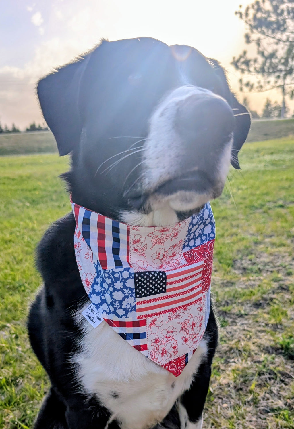 Red, White and Blue Double Sided Scrunchie Dog Bandana