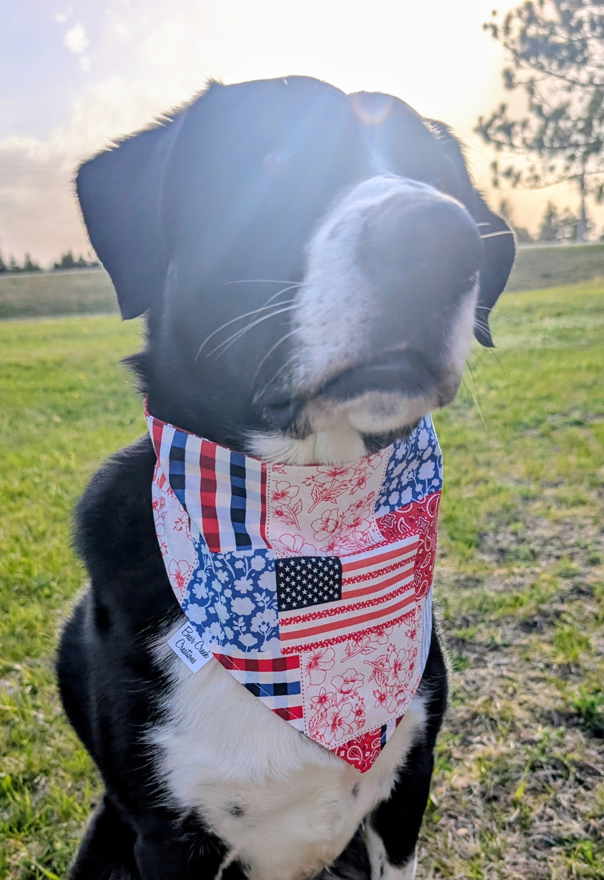 Red, White and Blue Double Sided Scrunchie Dog Bandana