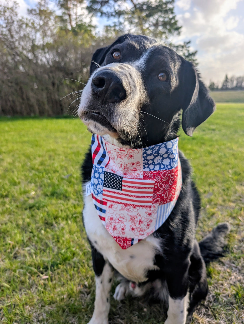 Red, White and Blue Double Sided Scrunchie Dog Bandana